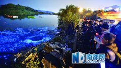 香港大埔现夜光藻奇观