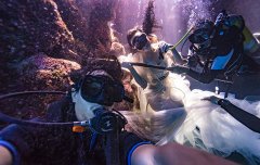 摄影师水下拍摄美女与鲨鱼和谐共舞画面(1)