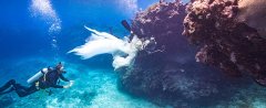 摄影师水下拍摄美女与鲨鱼和谐共舞 画面唯美