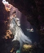 摄影师水下拍摄美女与鲨鱼和谐共舞 画面唯美（组图）