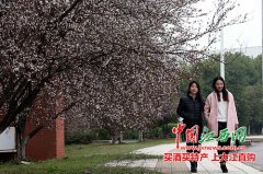 高校春色美 影楼“借”景拍婚纱（图）