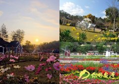 國家3A級景區梅州愛麗絲莊園23日起全年不休園開放