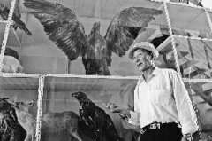 古稀老人DIY动物标本办展览(图)