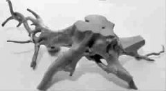 自制天然小花架