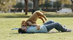  三星顶级显示器,脑洞大开的创意广告