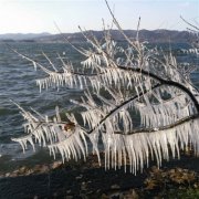 昨日 杭州赛北国 摄影人狂拍节