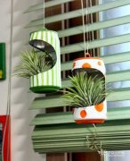 易拉罐还丢掉？ 易拉罐DIY打造的吊兰花盆美翻了！