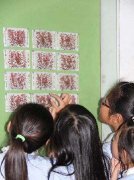 十二生肖剪纸宣传消防知识