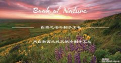 自然之书天然手工皂(Book of Nature)带来别样体验