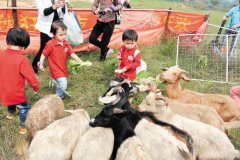 周末农庄亲子游乐翻天长沙周边好玩农庄推荐