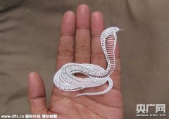 印度小伙用手术刀创作剪纸艺术 作品栩栩如生