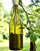 旧物创意改造，打造出属于自己的小花园