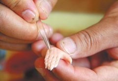 陈氏面人传承人陈正达的“面塑情结”