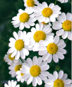 2014网易美容大奖系列女人沙龙03期