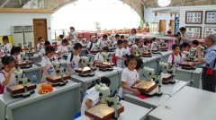 【博览园】蝴蝶文化主题夏令营奏响夏日科普主旋律