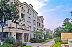 西溪君庐&西园邻里干塘节 圆满落幕！