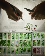 钱钟书：我不写书，我设计首饰