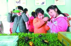 村小有个昆虫博物馆