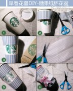 最简单易学！编辑教你DIY绿植装饰