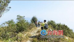 周末 到同安摘杨桃去