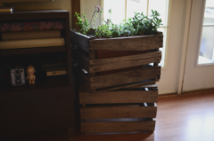 如何使用旧木箱DIY制作可爱多肉植物花园