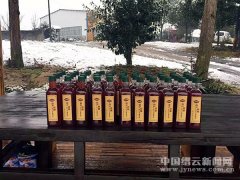 建设“美丽公安”：把剪纸艺术“请”进警营