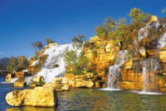 40个家庭还可DIY多肉植物带回家