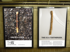  有趣的树枝牙刷