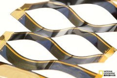 剪纸艺术赋予新型太阳能电池设计灵感