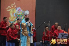 眉山市举行首届“民间文化手工技艺”广场汇(组图)