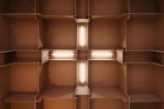  疯狂的纸板办公室