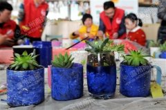 鹿城要送一万盆多肉植物