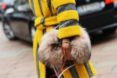 银各有异 藏银苗银泰银的区别你知道吗？