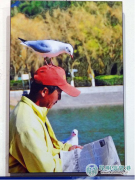 “春韵天成 美丽昆明”摄影艺术展昆明五华区开展