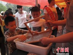 河北20对家庭亲子团走进大学校园 体验非遗手工绝活