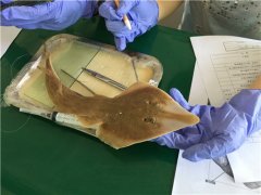 《海洋世界》：东山二中有座海洋生物标本馆