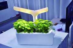 这才叫生活 创意家电让人心动