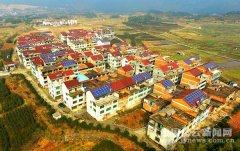 楹联展·剪纸展 浓浓的“文化年”