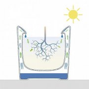  水回收花盆 有效减少浇水次数