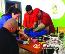 想买多肉植物?不妨来这里看看