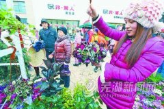 “庙会经济”聚人气蕴商机