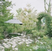 创意源于生活 清新森系店铺的完美装修