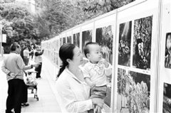 深圳公园文化节凝聚人文梦想