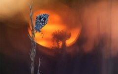 气象万千：年度户外摄影大赛美图赏