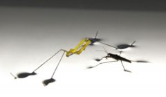  韩国首尔大学研发仿生机械水黾