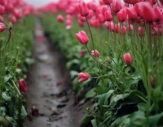 摄影下的甜蜜约会 五款单反相机推荐