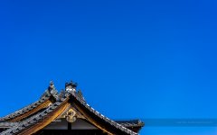 心机表美图儿怎么拍 索尼全画幅微单A7遇上关东的最美枫景