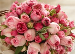 玫瑰物语 珠宝饰品中的永恒主题(图)