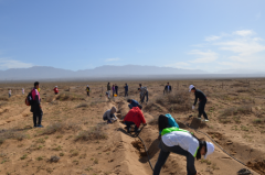 建发绿跑在行动1月2日开跑