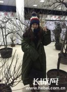 鼎盛皇家灯会：一场不容错过的视觉盛宴